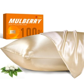 100% Mulberry Silk Pillowcase for Hair and Skin, 22 Momme Natural Silk Pillow Case with Zipper, Both Sided Pure Silk Pillow Cover for Women Mom Men (Beige, Queen 20''×30'')