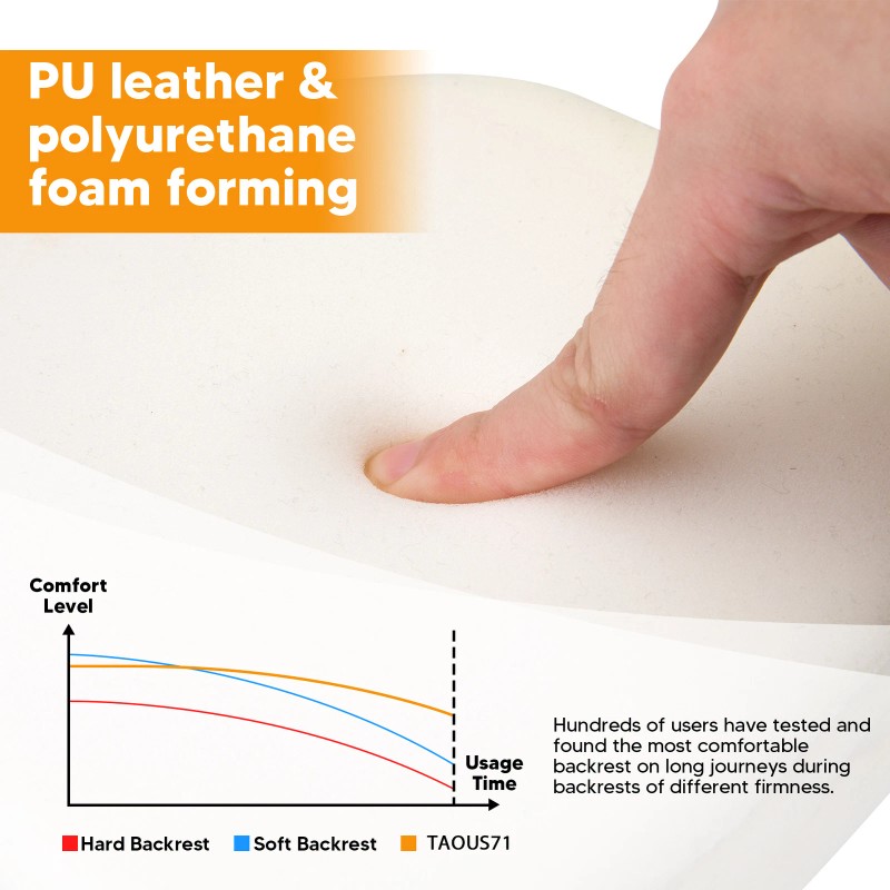 TAOUS71 For 97-08 Harley Road King Street Glide Detachable Passenger