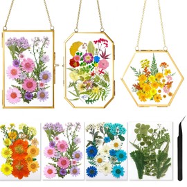 IcosaMro 3 Pack Double Glass Frame for Pressed Flowers 4"x 6" Adult Craft Kits with Brass Glass Frames & 4 Sheets Pressed Flowers, Window Hanging Wall Decor Frame for Dried Flowers Leaves Plants