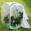 RESTCLOUD 36" Large Monarch Butterfly Habitat, Giant Collapsible Insect Mesh