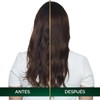 Tinte para cabello Nutrisse Oleos sin amoniaco 5.0 castaño claro