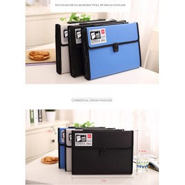 LI-GELISI Accordion Expanding File Folder,13-Pockets,A4 Size,Handle and Tabs,Buckle Closure (White)