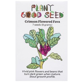 Plant Good Seed Organic Crimson Flowered Fava Bean Seeds for Planting: Heirloom Vegetable, Dark Pink Flowers - 7 Seed Packet
