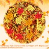 Jansun Fall Brown Orange Yellow Crinkle Cut Paper, 115g/4oz Shred