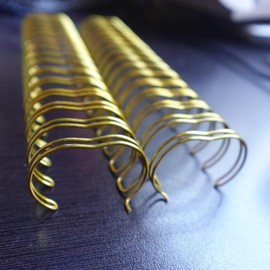 Arillos Metálicos para Encuadernación 1'' | Pack de 10 Tiras (22 Arillos por Tira), Color Dorado, Paso 2:1 Compatible con Cinch y Zutter, Doble Bucle para Agendas y Libretas