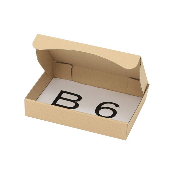 Earth Cardboard ID0282 Cardboard, Non-Standard Mail, Set of 20, B6, Cardboard, Non-Shaped Box, Small Items, Packaging