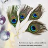 Royal Queen Crown Pearl Peacock Feather Badge Brooch Lapel Pin