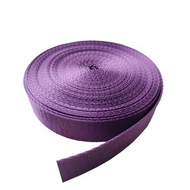 VIAILI SYMIE 1 Inch Heavy Duty Nylon 10 Yards Webbing Roll,Nylon Strap Webbing Straps Backpack Straps Nylon Belt for Indoor or Outdoor Gear, DIY Crafting, Handles, Luggage, Slings (Purple)