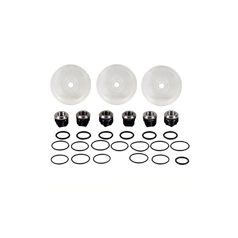 Hypro D403 Repair Kit (D403-RK)