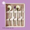 Flying Crane Pattern Design Korean Style Sticky Rice Spoon Chopsticks
