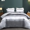 Whale Flotilla 3-Piece Reversible Silky Soft Queen Comforter Bedding Set,