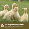 Purina Duck Feed for All Life-Stages, Nutritionally Complete (10 lbs)