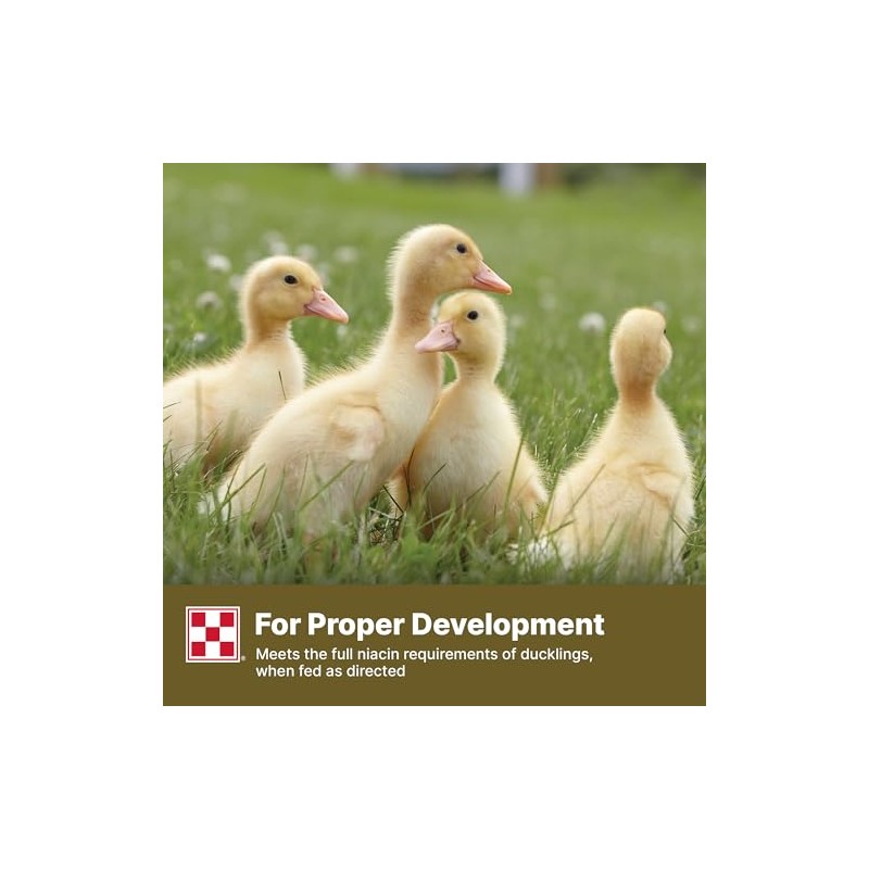 Purina Duck Feed for All Life-Stages, Nutritionally Complete (10 lbs)