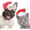 Beiabang 6 Pcs Dog Cat Pet Santa Hat Christmas Pet