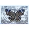 jameitop® 60 Matchboxes / Matches Mixed Nostalgia Motifs 2400 Matches