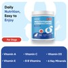 animigo Multivitamins and Minerals for Dogs - 120 Soft Chews
