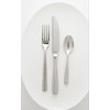 Fortessa Ringo 18/10 Stainless Steel Flatware Table Fork, Set of