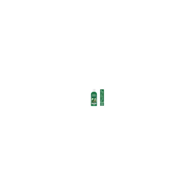 Shampoo Aceite Árbol De Te / Tea Tree Orgánico 500ml