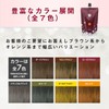 Lefine Natural Color Treatment for Men and Women 300g (1
