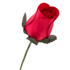 Red Bunch of 8 Closed Bud Wooden Roses for Crafts Custom Bouquets and Other DIY Projects. Choose Form Over 60 Colors