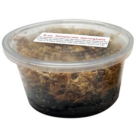 Exo-Morphs 8 oz. Temperate Springtail Starter Culture Live Arrival Guarantee