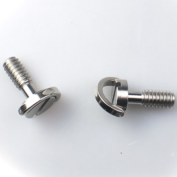 FDXGYH 2pcs 1/4-20 Thread D-Ring Stainless Steel Camera Fixing Mounting