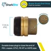 SharkBite 1-1/4 Inch Push Cap, Push to Connect Brass Plumbing