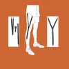 1 Pair of Adjustable Elastic Bottom Clip Y-Style Suspenders, with