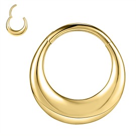 ZS 16G Segment Septum Nose Rings for Women Men, 8mm 10mm Stainless Steel Clicker Cartilage Earrings Hoop Teardrop Rook Helix Piercing Jewellry (Gold-10mm)
