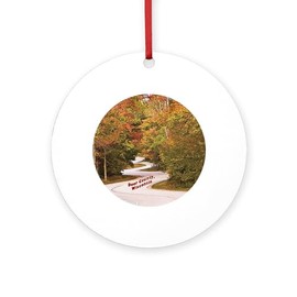 CafePress Winding Road Door County WI Round 4" MDF Holiday Ornament