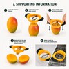 Mango Slicer & Pitter for Kitchen Prep – Stainless Steel
