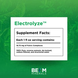 BEAM Minerals Electrolyze | Liquid Electrolyte Replenishment | All The Electrolytes, Without All The Salt | 32 fl Oz
