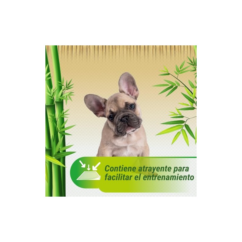 Fancy Pets Tapete Entrenador Soft Pad de Bambú 14 Piezas
