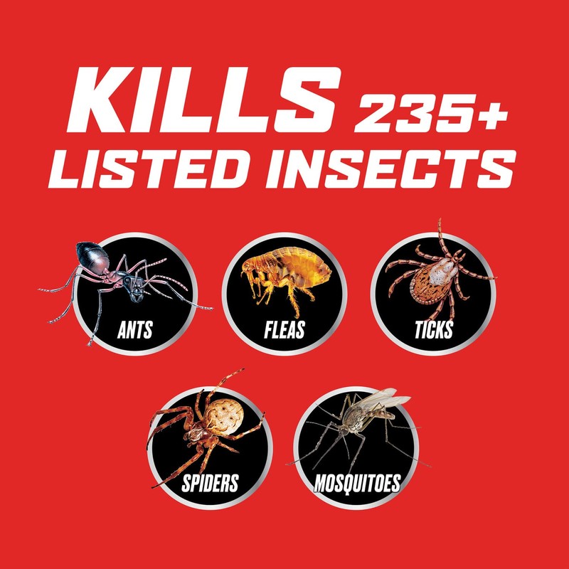 Ortho Outdoor Insect Killer Concentrate Kills Listed Ants, Spiders, Fleas