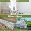 Greenhouse Plastic Sheeting, 24 x 25ft 6 mil Clear Greenhouse