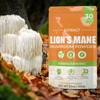 Lion's Mane Mushroom Powder – Premium Natural Supplement for Cognitive