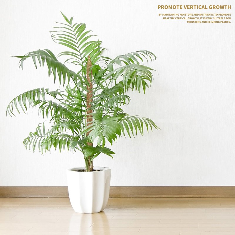 3 Pack Moss Pole Monstera Plant Support, 28 Inch Bendable