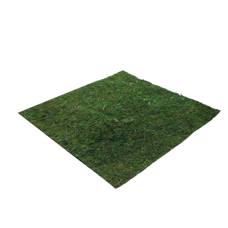 Moss Mat