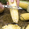 Rada Cutlery Vegetable Peeler Stainless Steel Blade with Aluminum Made