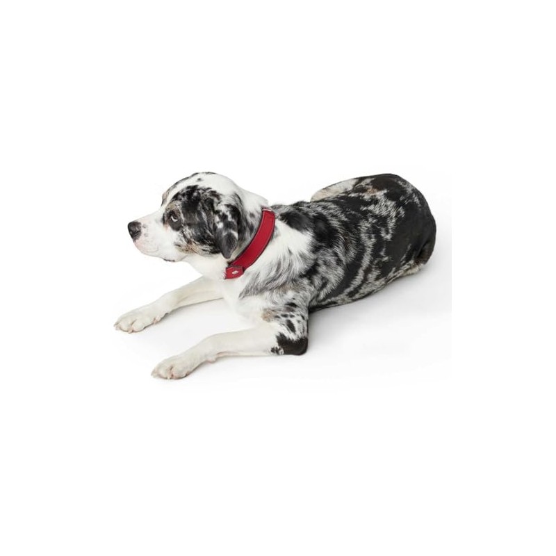 Hunter Softie Dog Collar, Imitation Leather, 45