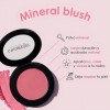 Rubor Mineral Blush Colorton Tono Del Maquillaje 7 Brown