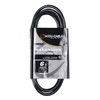 American Dj Supply Eccom-6 Iec Cable Male To Female 6
