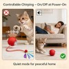 Speedy Tail 2.0 Cat Toy – 2 Replaceable Tails, Controllable