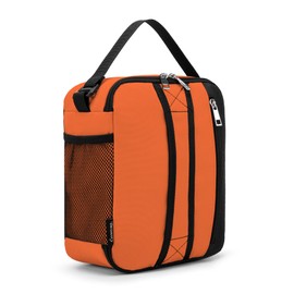 BEIMILY Lunch Box for Men Women Adults,Small Insulated Lunch Bag for Office Work Picnic,Reusable Portable Lunchbox,Soft Cooler Tote Bag(Orange)