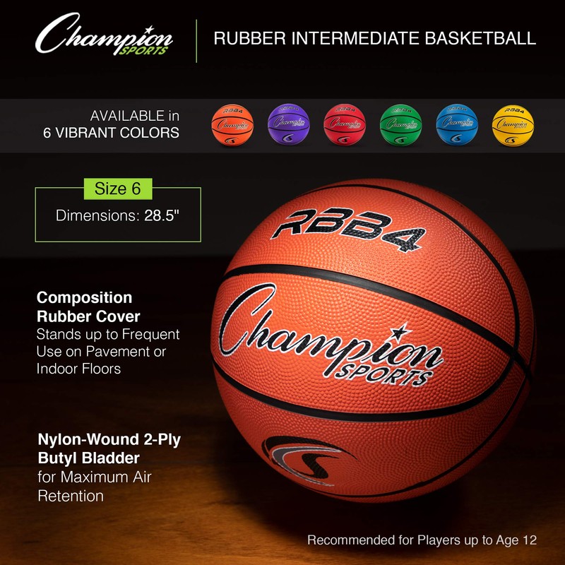 Champion Sports Heavy Duty Rubber Cover Nylon Basketballs-Intermediate (Purple, Size