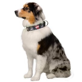 Country Brook Petz - I Love Mom Martingale Dog Collar - Attitude Collection with 2 Untamed Designs (1 1/2 Inch, Medium)