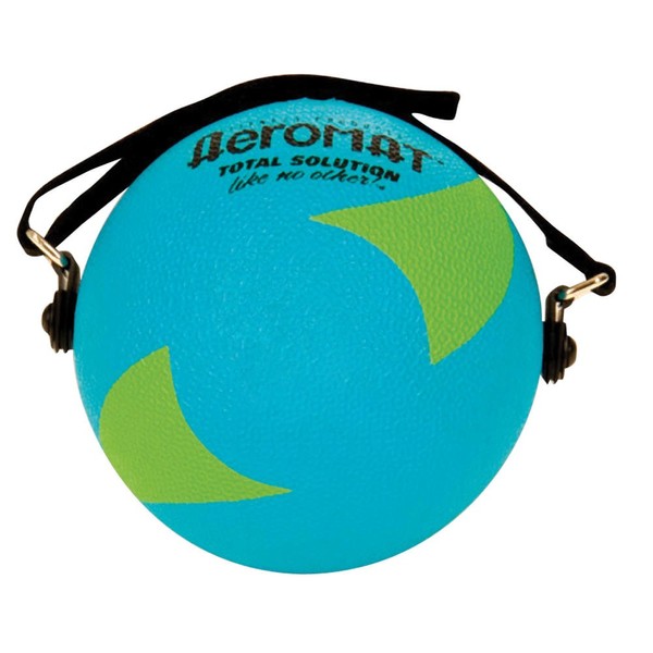 Power Yoga / Pilates Weight Ball Color: Teal / Green