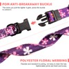 Jestrem Dog Collar, Cute Adjustable Soft and Comfortable with Printed