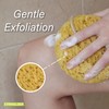 PARADISO Evriholder Sea Foam Body Sponge for Scrubbing and Exfoliating,