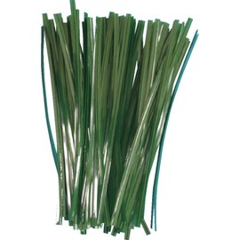 TRUSCO GVT200-100 Gardening Vinyl Ties, Width 0.2 x Length 7.9 inches (4 mm) x Length 7.9 inches (200 mm), Green (100 Pieces)